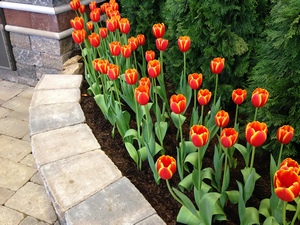 Flower and Landscaping Exhibit